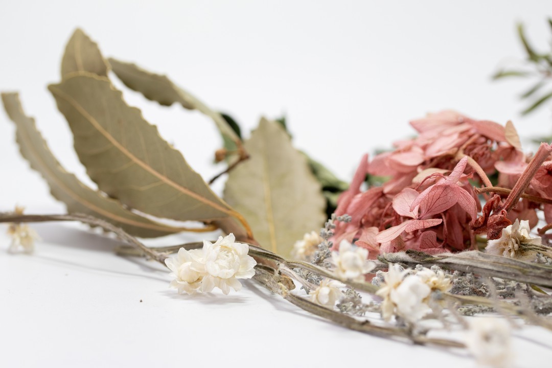 自由が丘駅でおすすめのお花屋さんまとめ おしゃれなフラワーギフトが豊富 Pathee パシー