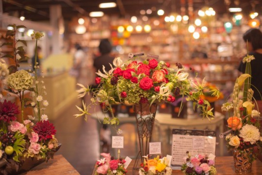 横浜駅近くにある人気のお花屋さんまとめ 色鮮やかなお花からアレンジメントまで Pathee パシー