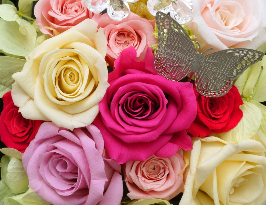 梅田駅近くの人気のお花屋さんまとめ 色鮮やかなお花からアレンジメントまで Pathee パシー