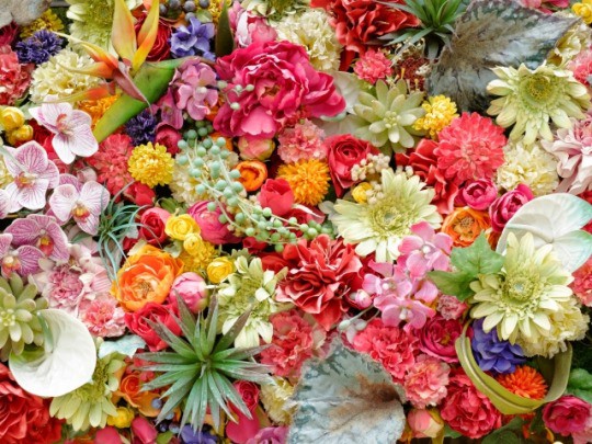 秋葉原駅周辺でおすすめのお花屋さんまとめ 様々なシーンにあったお花が買える Pathee パシー