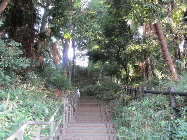 草とか多め