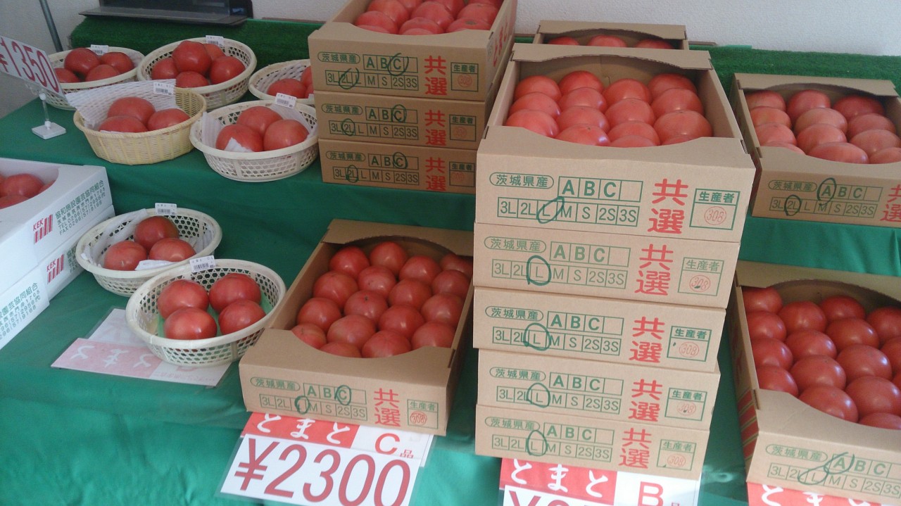 美味しそうなトマトです