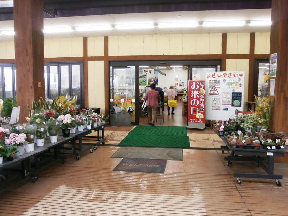 店頭は花・苗など