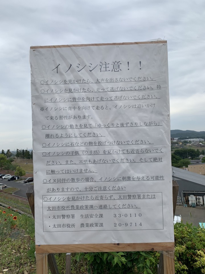 イノシシ出るんだね