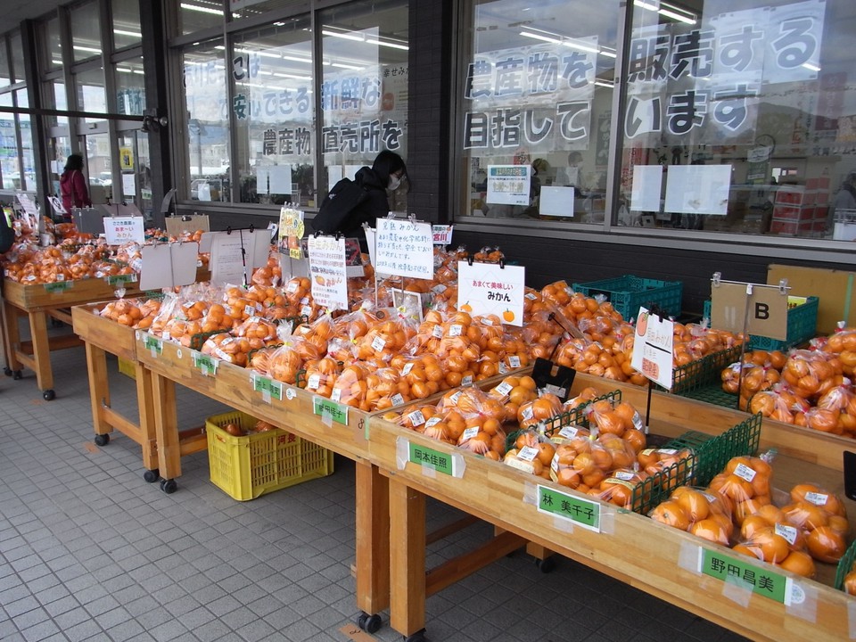 ブランドの有田みかんです