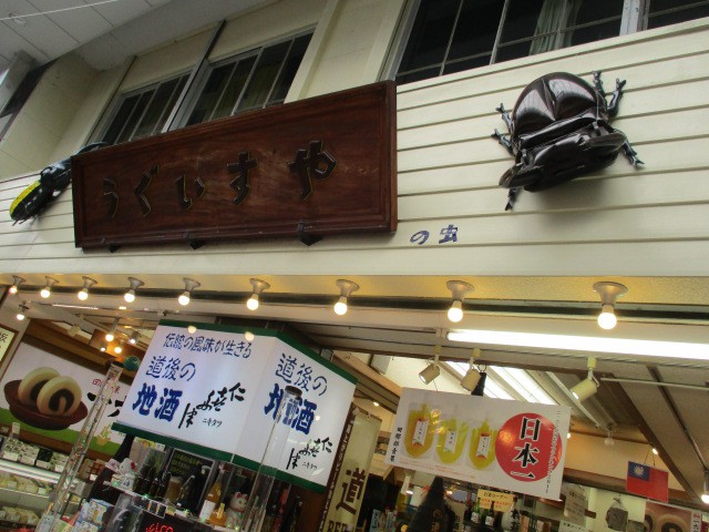 謎の虫達です