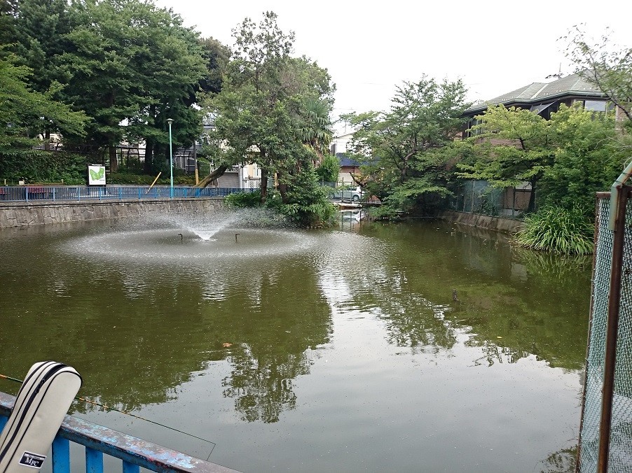 園内の池