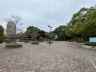 緑豊かな素晴らしい公園