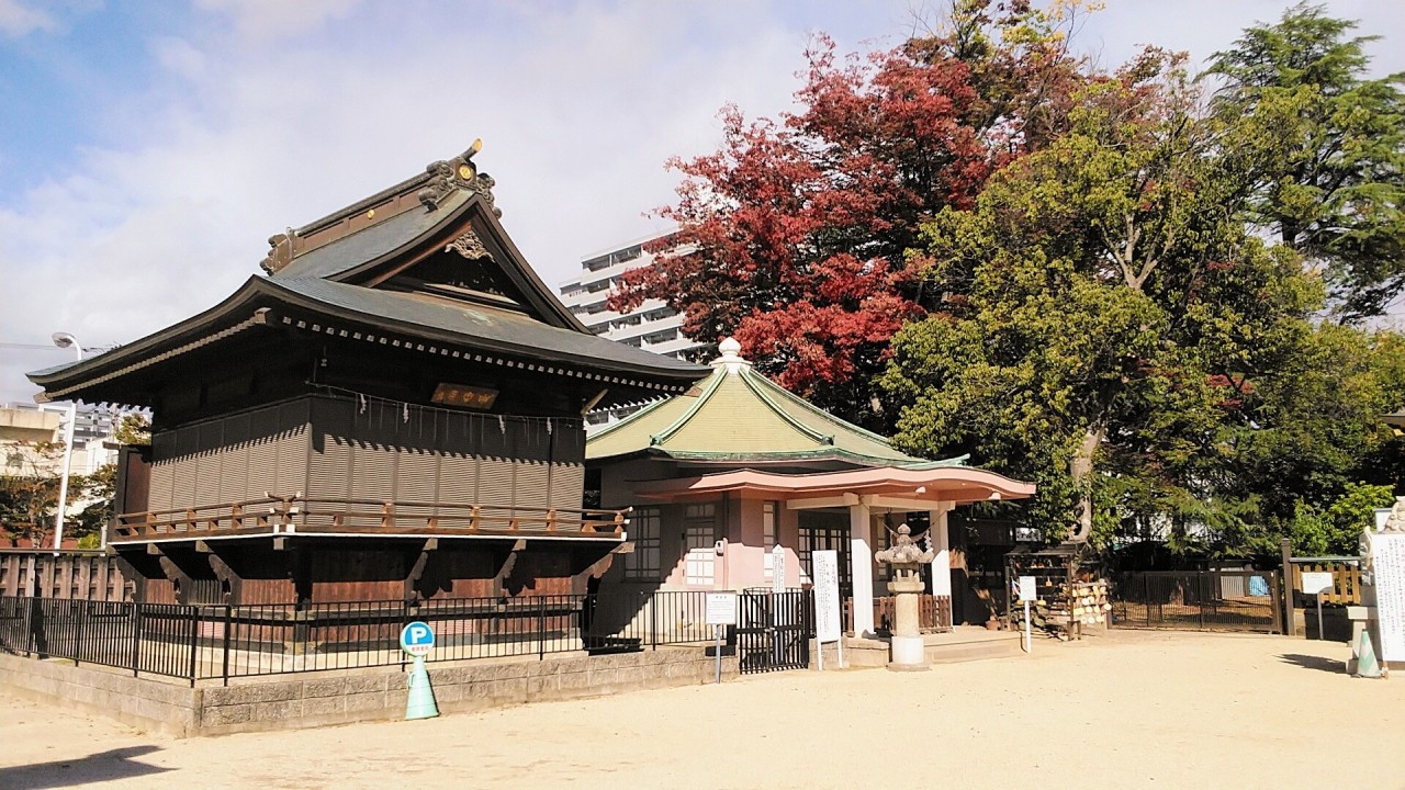 神楽殿にケヤキの紅葉