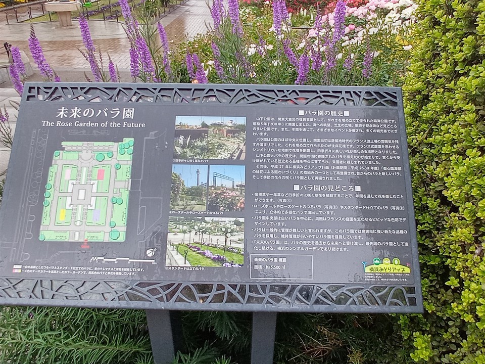 未来のバラ園