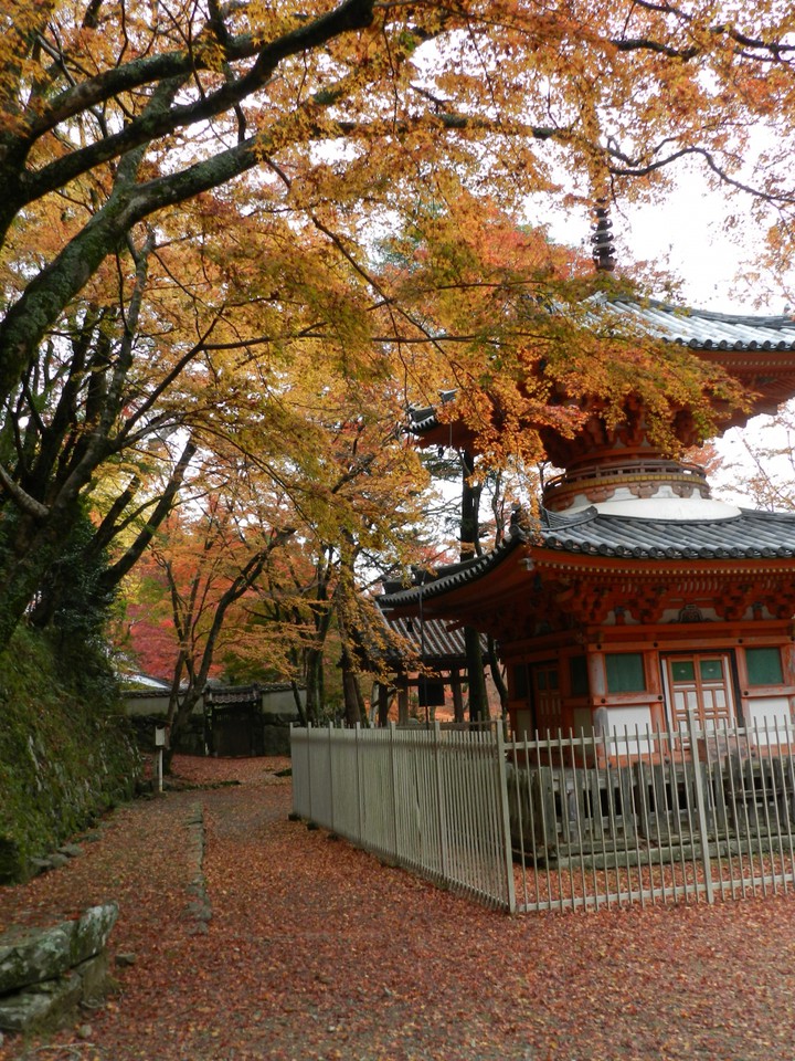 重文の多宝塔の紅葉風景