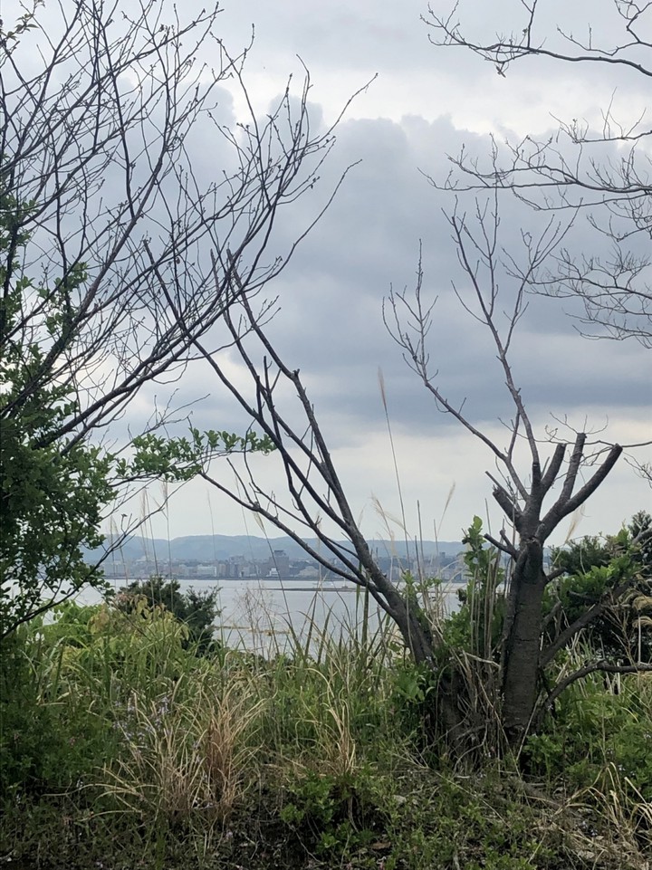 これはどうでも良い写真ですね。展望所の海側だけど。