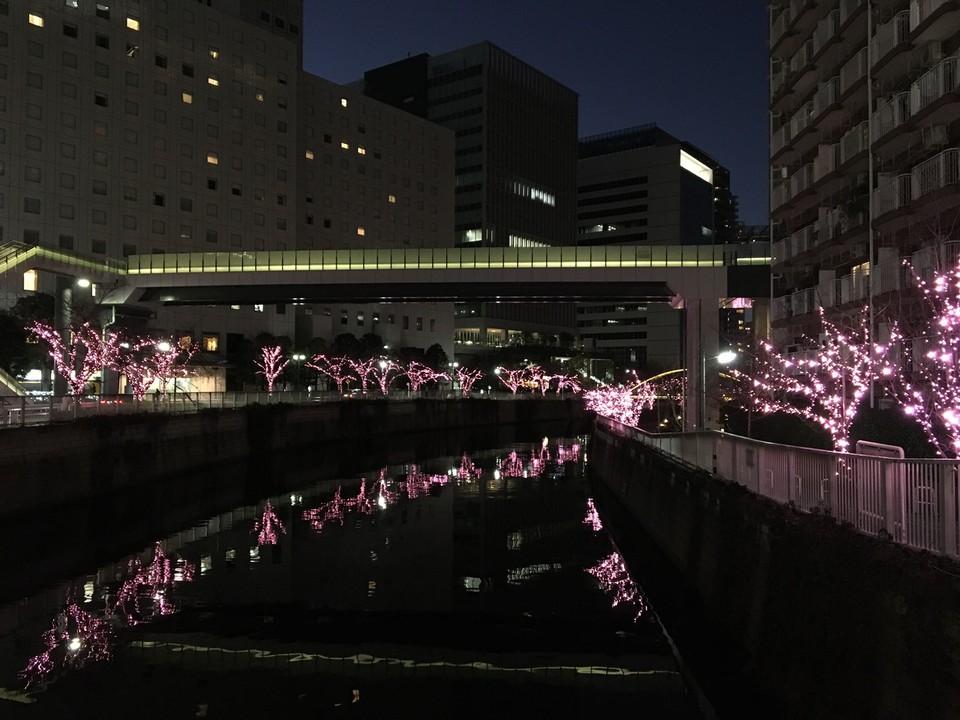 水面に映る姿も綺麗