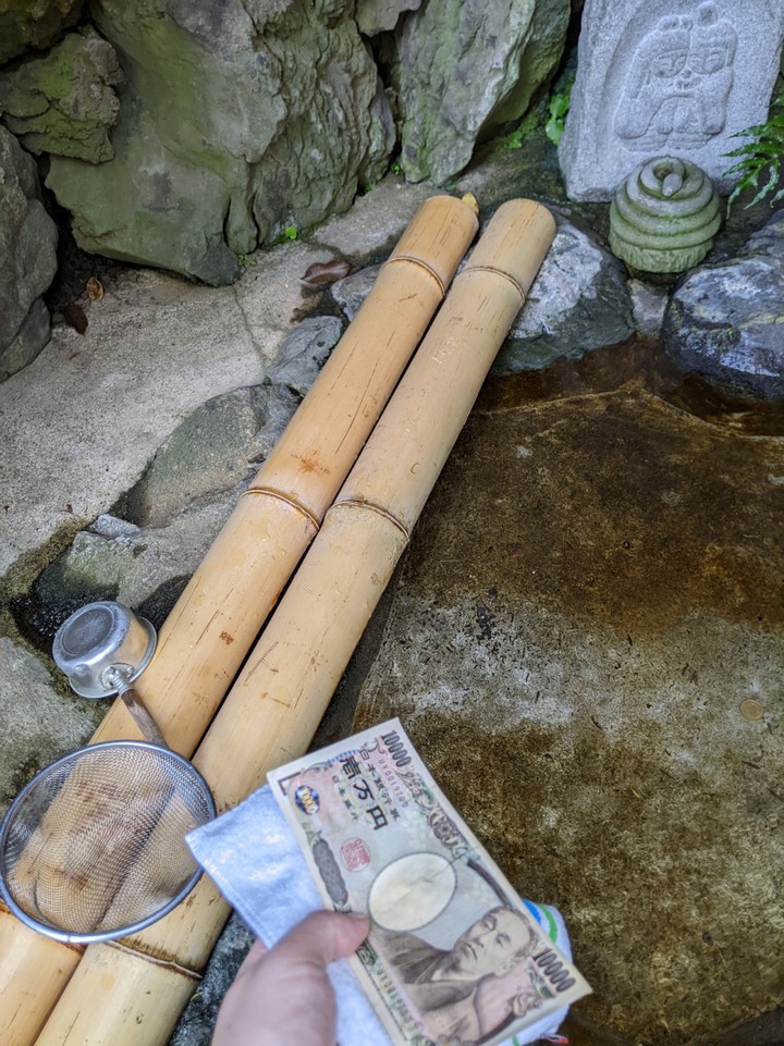 浄財できます。