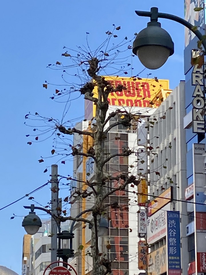 遠くから見ても目印になる建物。いつまでも残ってほしい