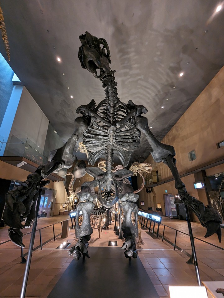 Exhibits
