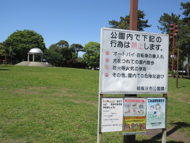 公園