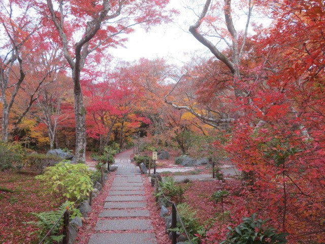 嵐山で１番の紅葉です