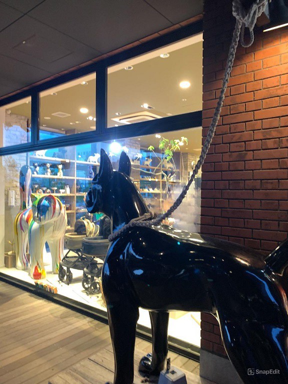 【実際に撮影してきた】パウズリビングマリン&ウォーク横浜店の前に大きな犬の像がある