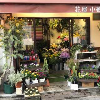 北千住駅のおしゃれなお花屋さん7選 シーンに合わせたお花に出会える Pathee パシー