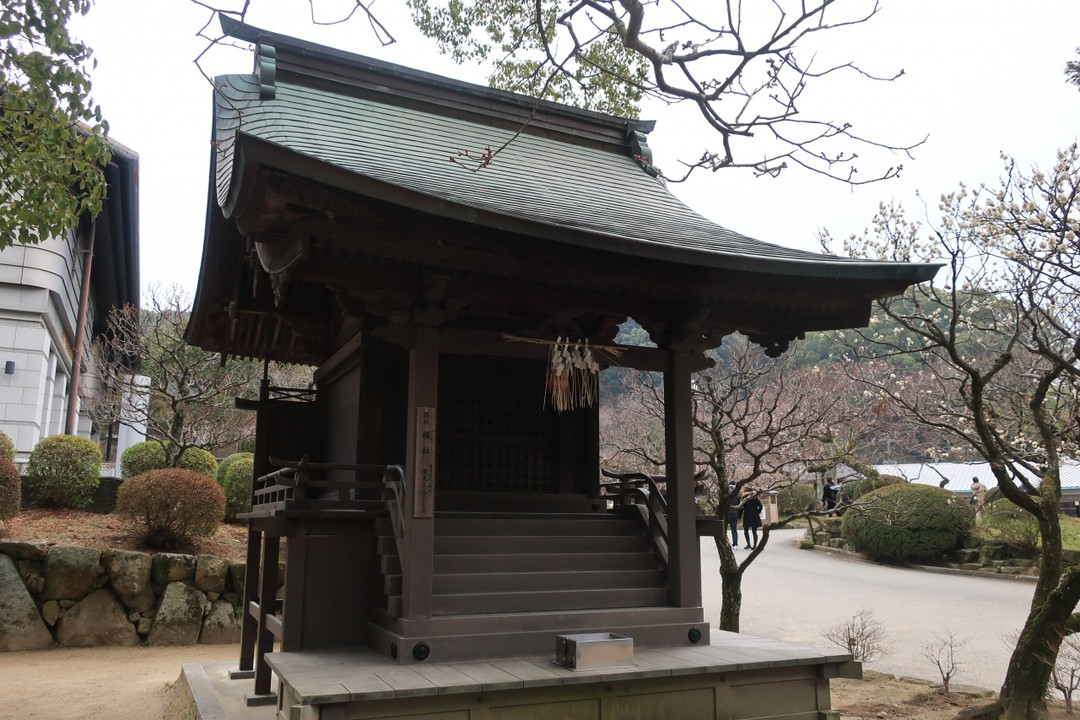 梅林に囲まれた社殿