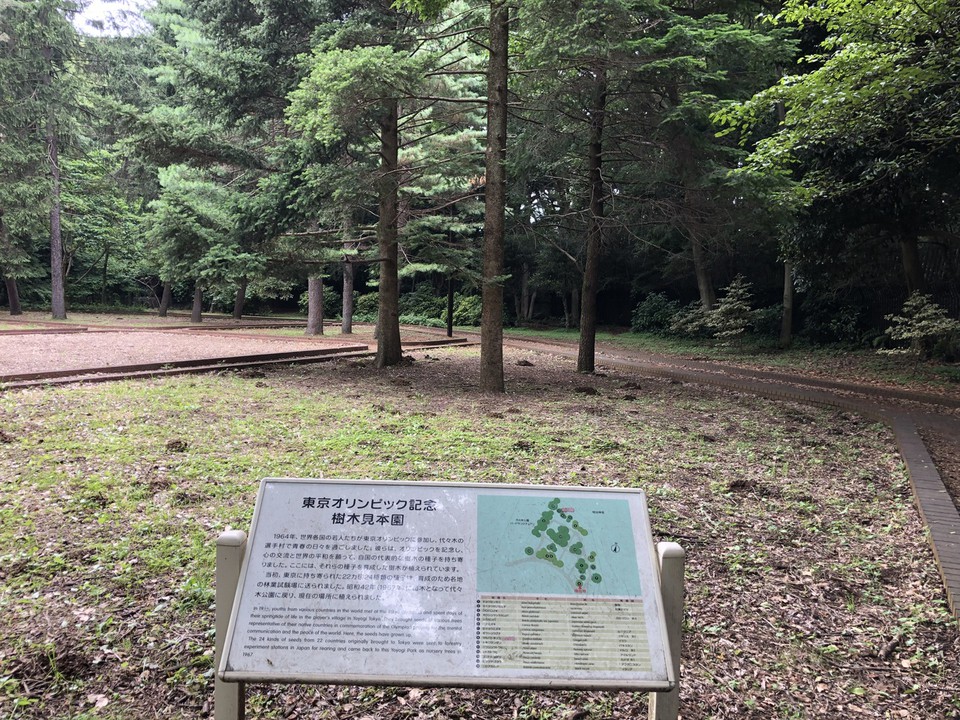 東京オリンピック記念樹木見本園