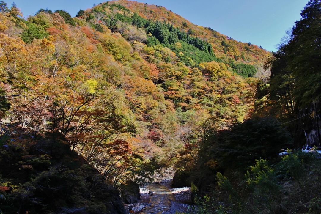 紅葉の山肌