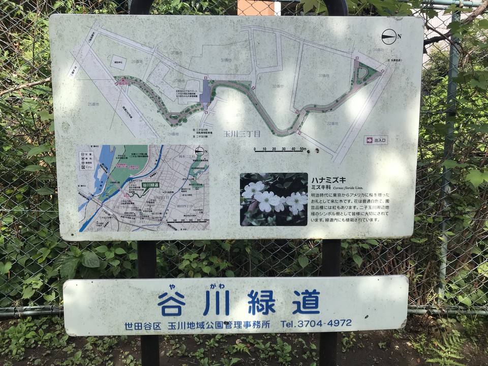 看板