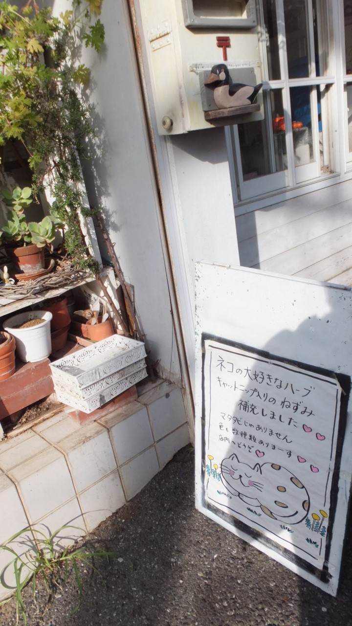 しゃれたお店も