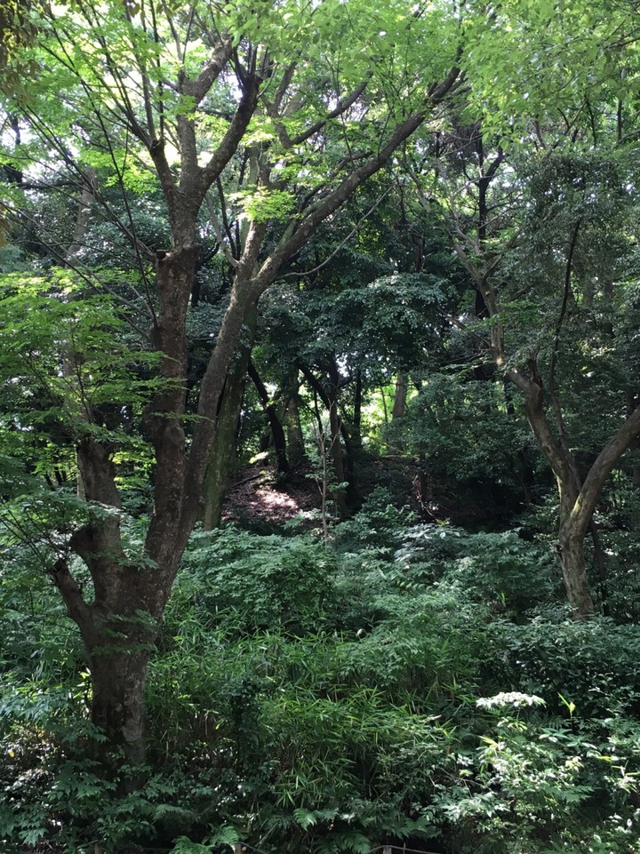 断夫山古墳