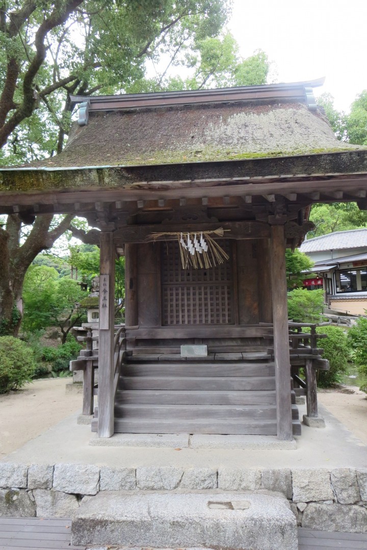 心字池の太鼓橋を渡ると今王社があります。