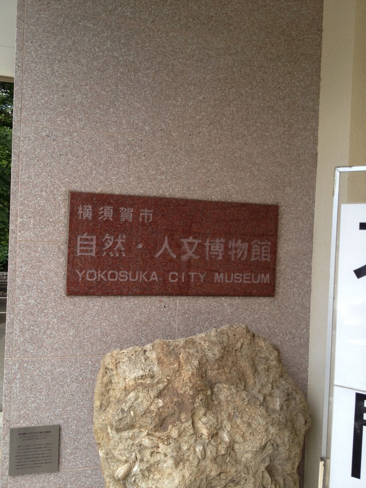 YOKOSUKA CITY MUSEUM