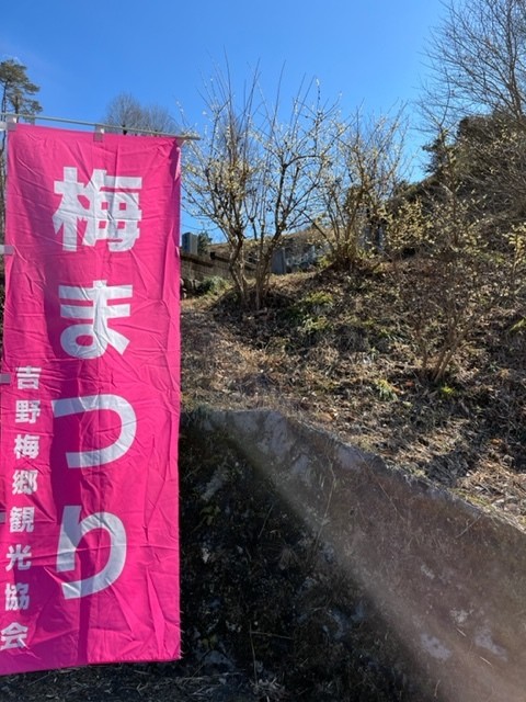 残念ながら、まだ梅は咲いていなかった