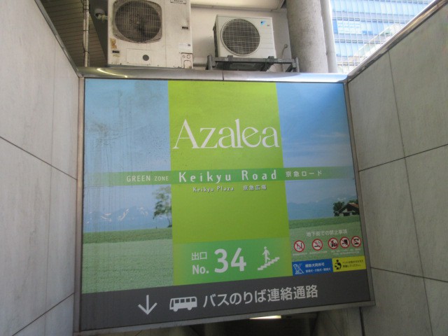 入口