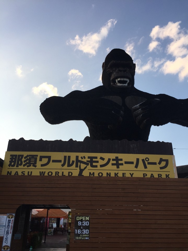 入口