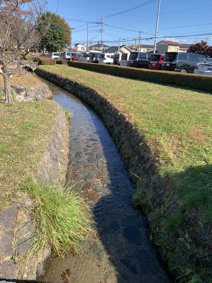 小川が流れてます