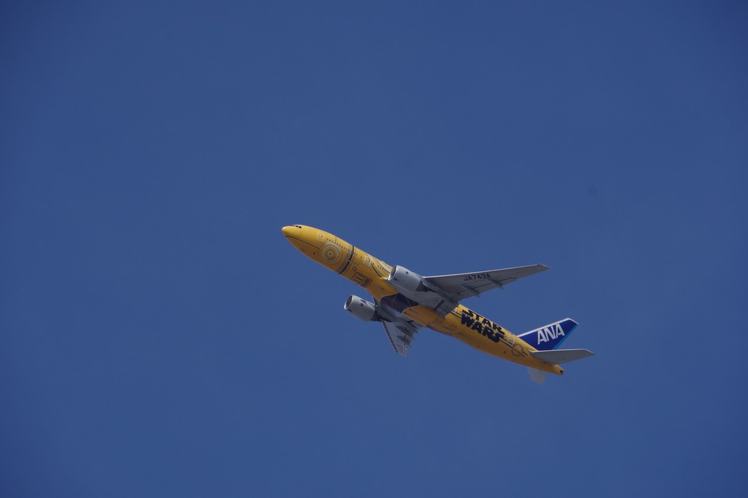 上空に離陸機が見えて集中できないのが欠点