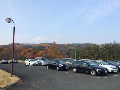 駐車場も広め