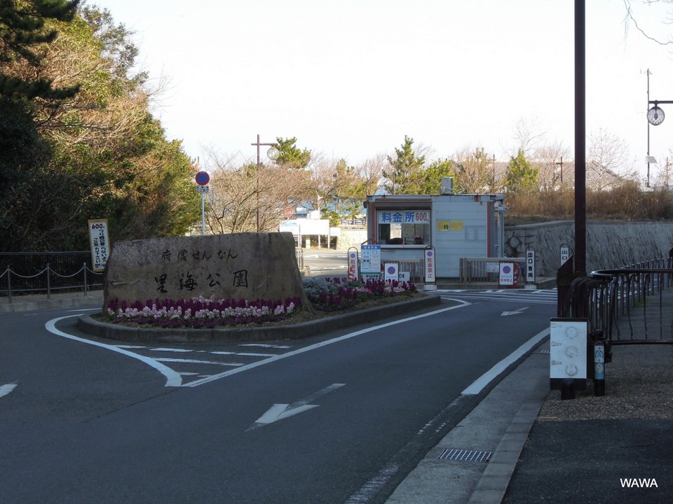なんだこりゃ！