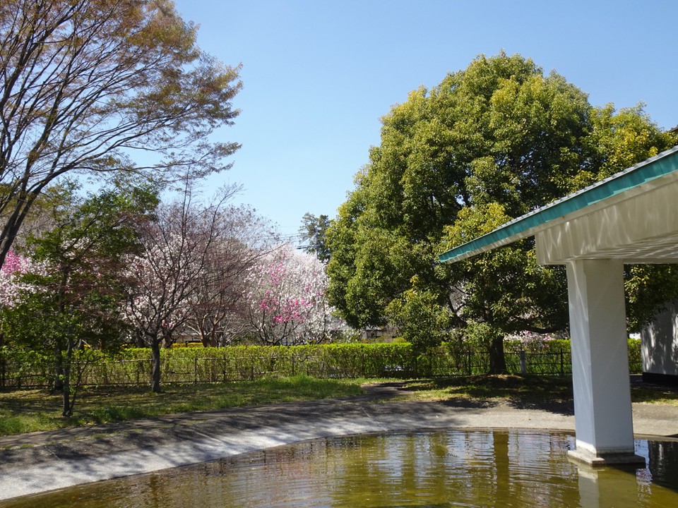 庭園