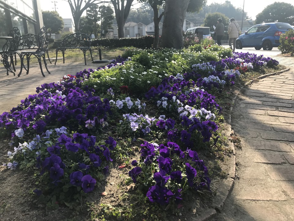 建物の周辺はお花が綺麗