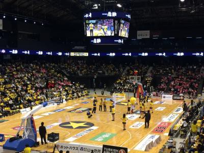 感染しやすいアリーナでした。