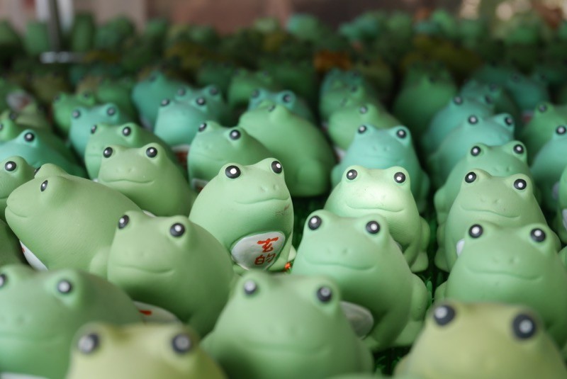 奉納されているかえるたち。