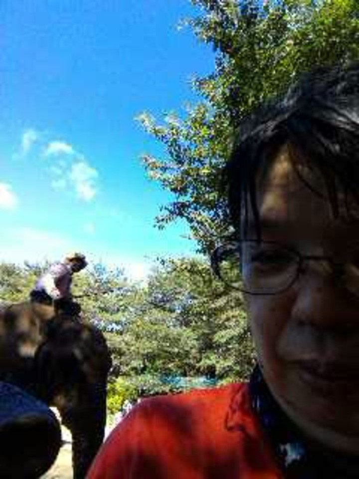 水浴びしたら、びしょ濡れですわ