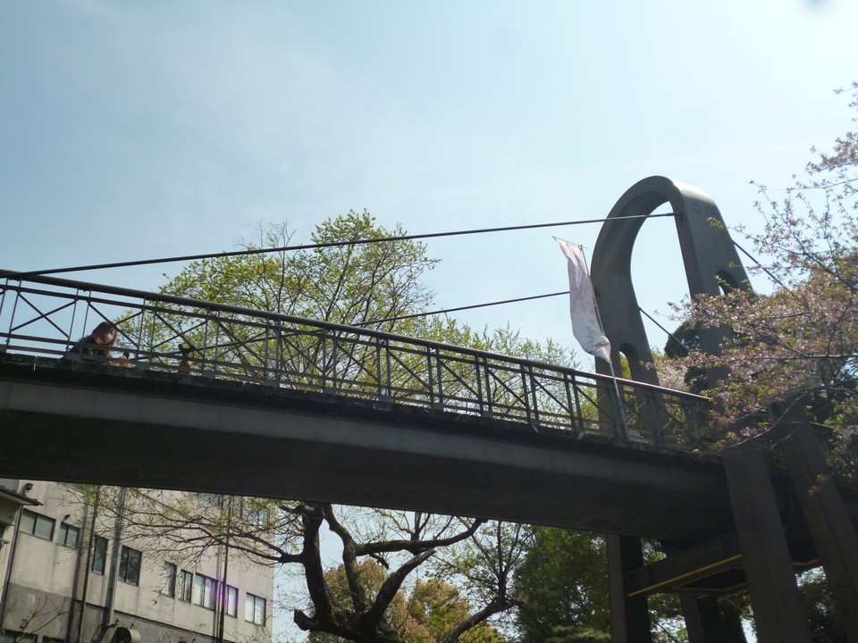 虹の橋