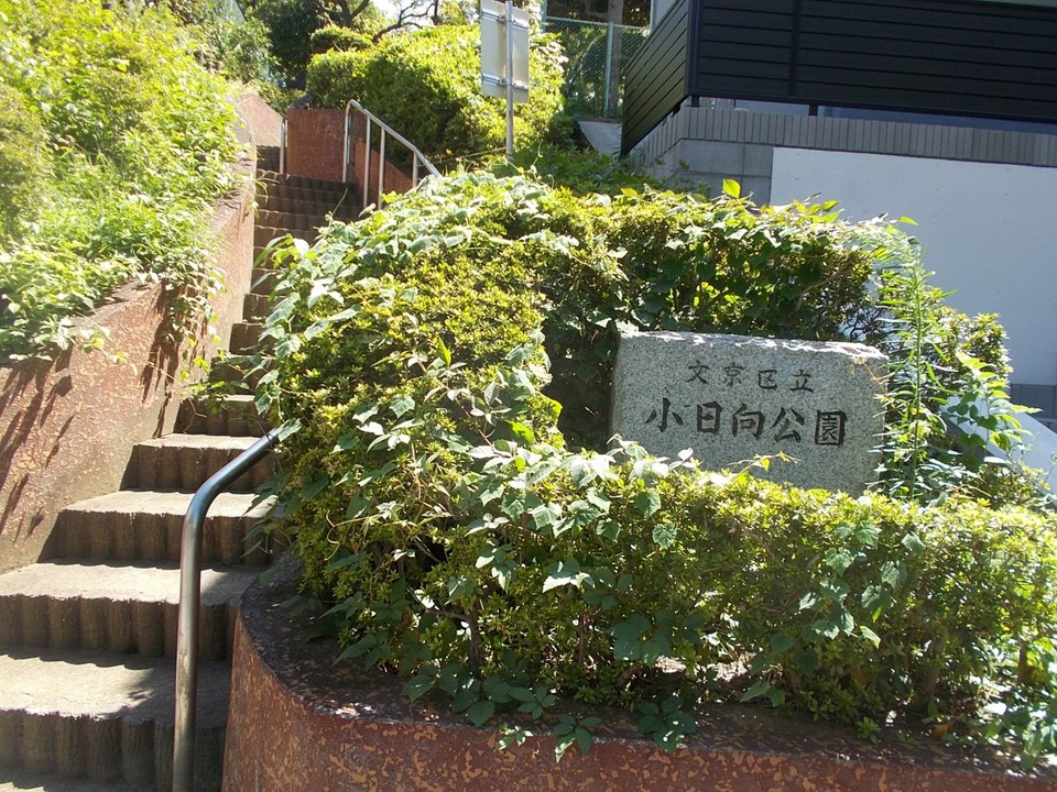 この階段を上るとあります。