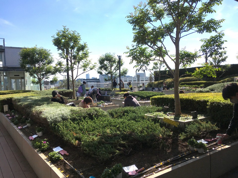 緑化された屋上庭園