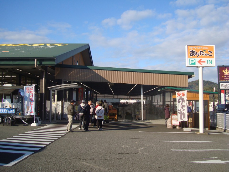 大きな緑の屋根・ありだっこ