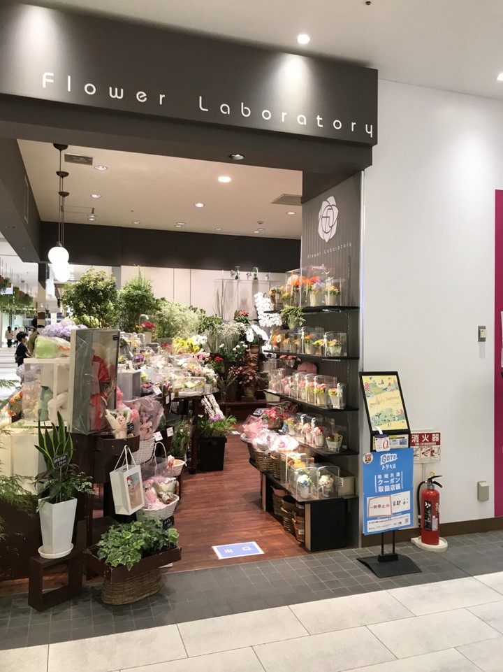 コウヨウの隣です