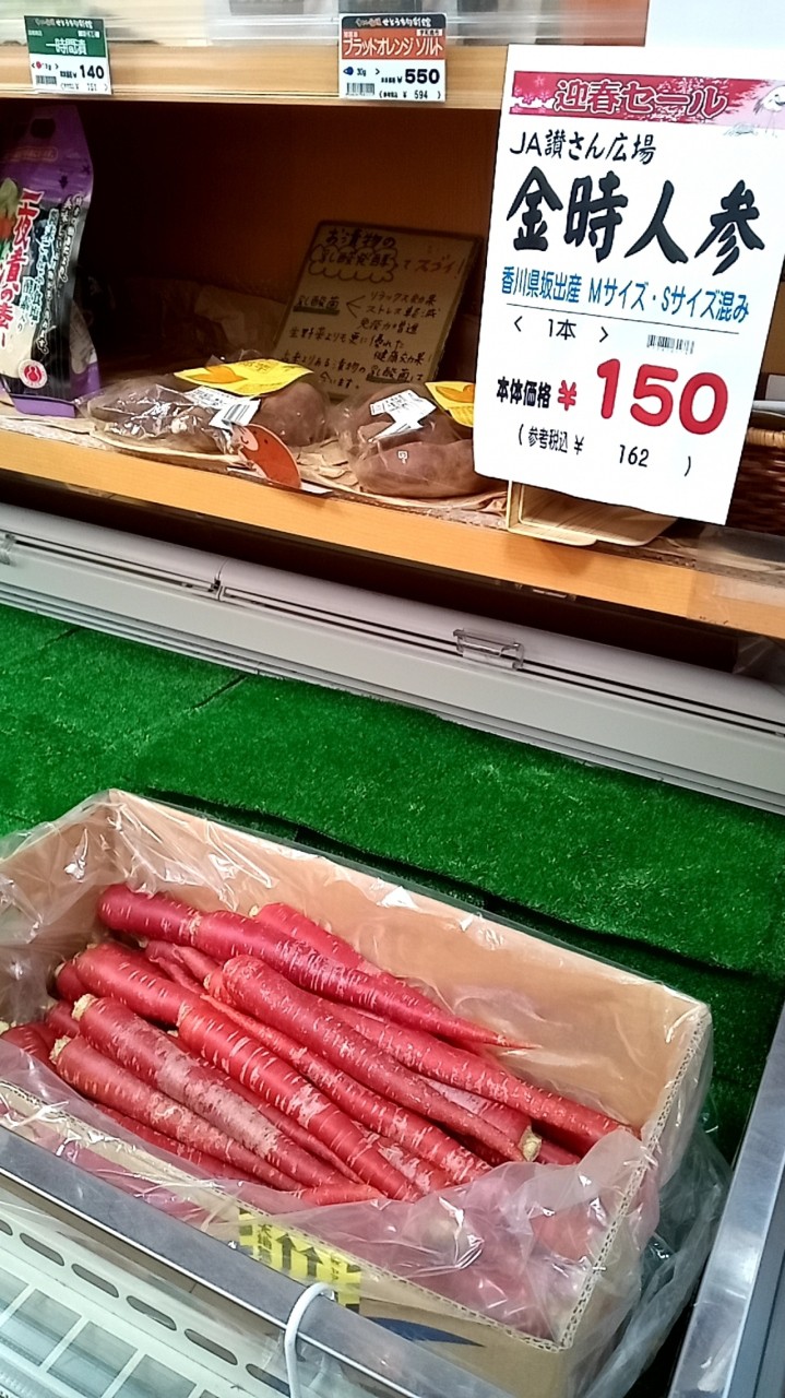 色鮮やかさな「」金時人参